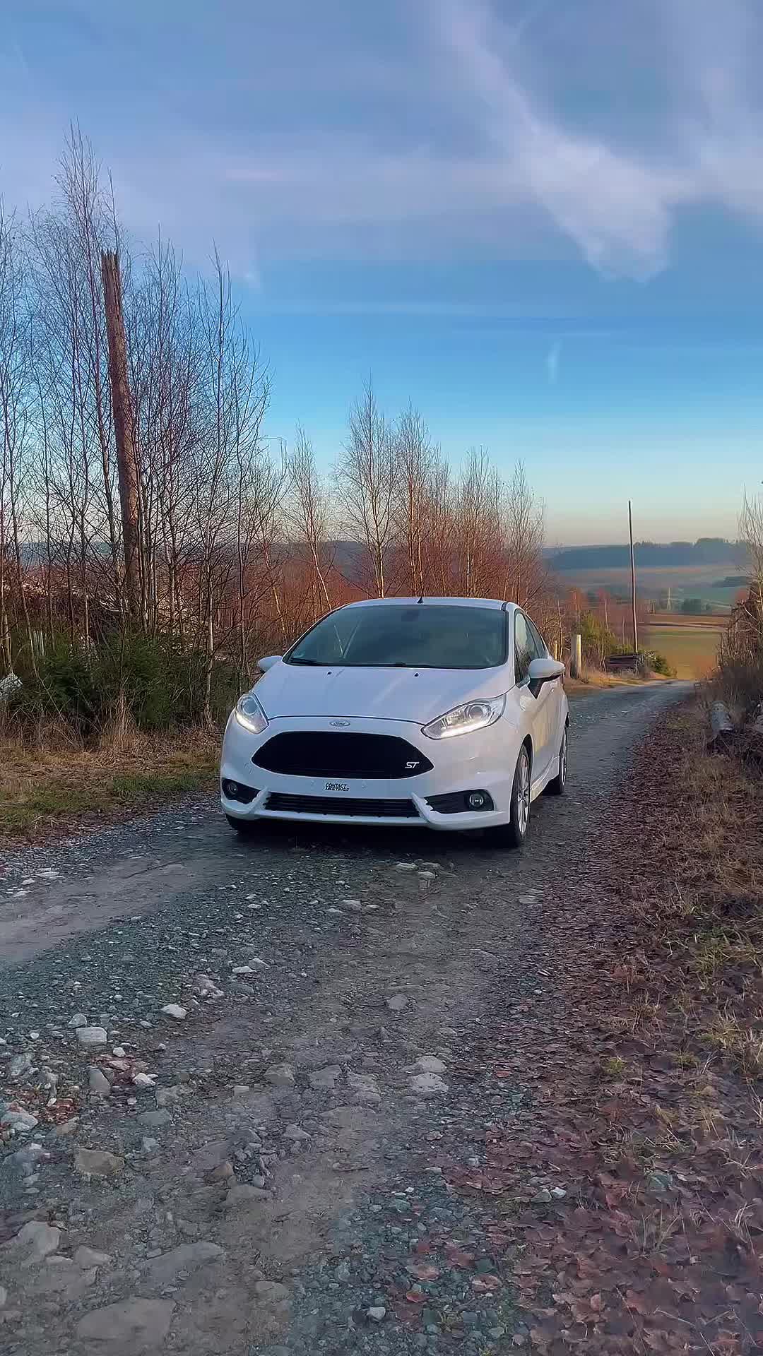 @Fiesta MK7.5 ST