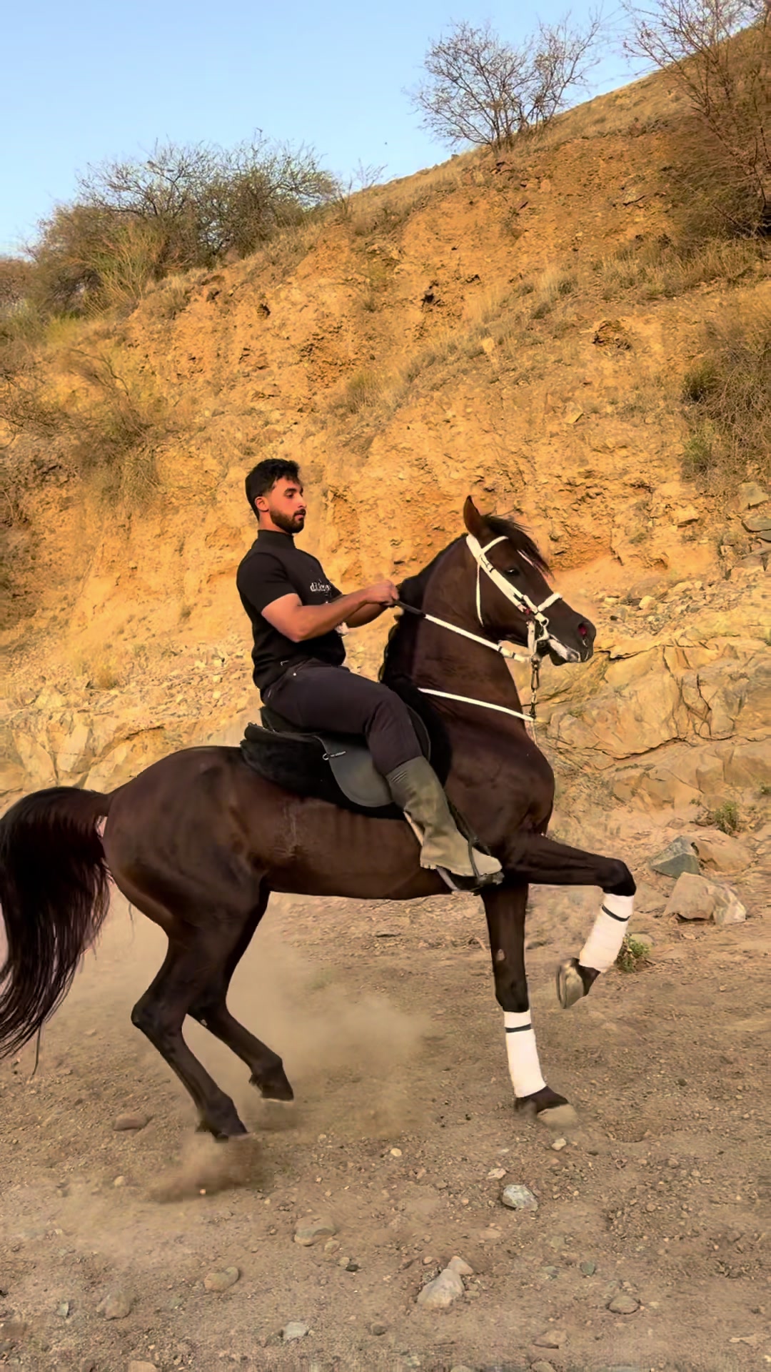 @بـاسـل الـوادعـي⭐️🐎