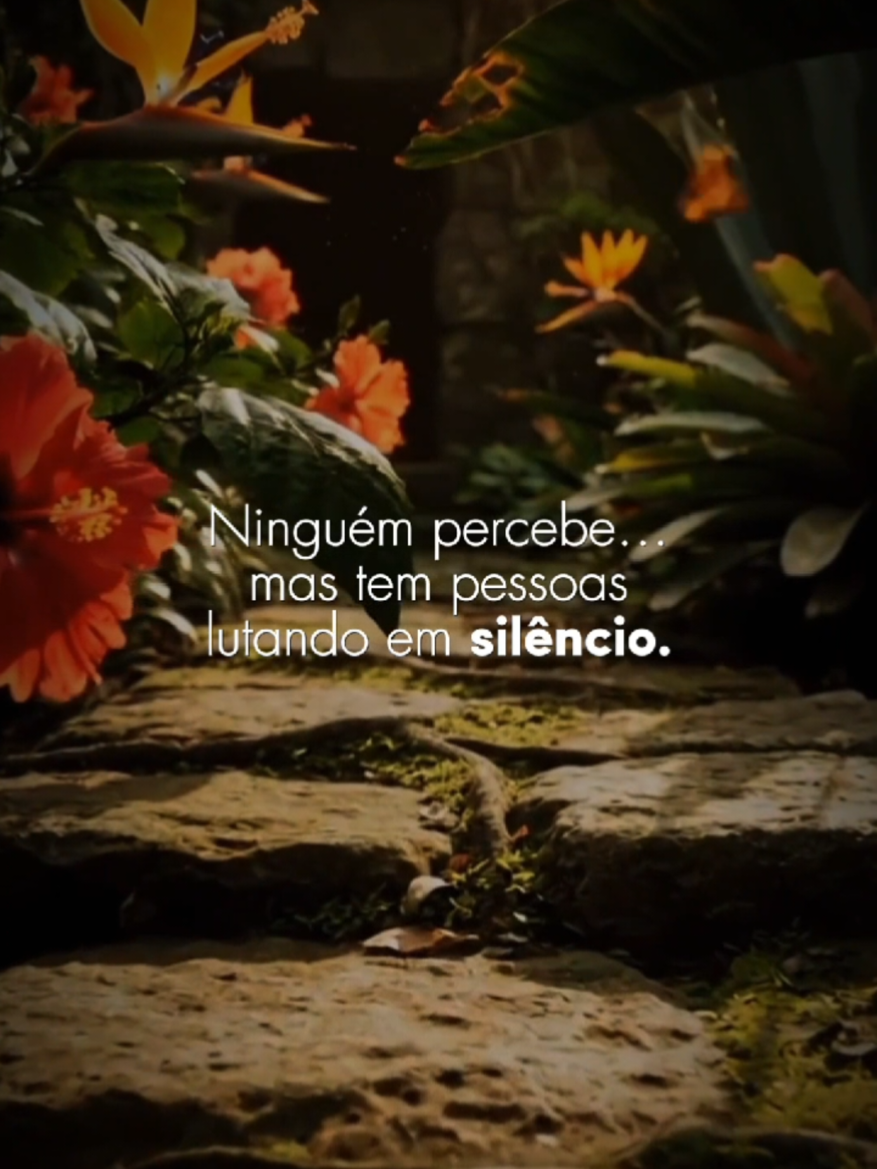 @Paz em Foco