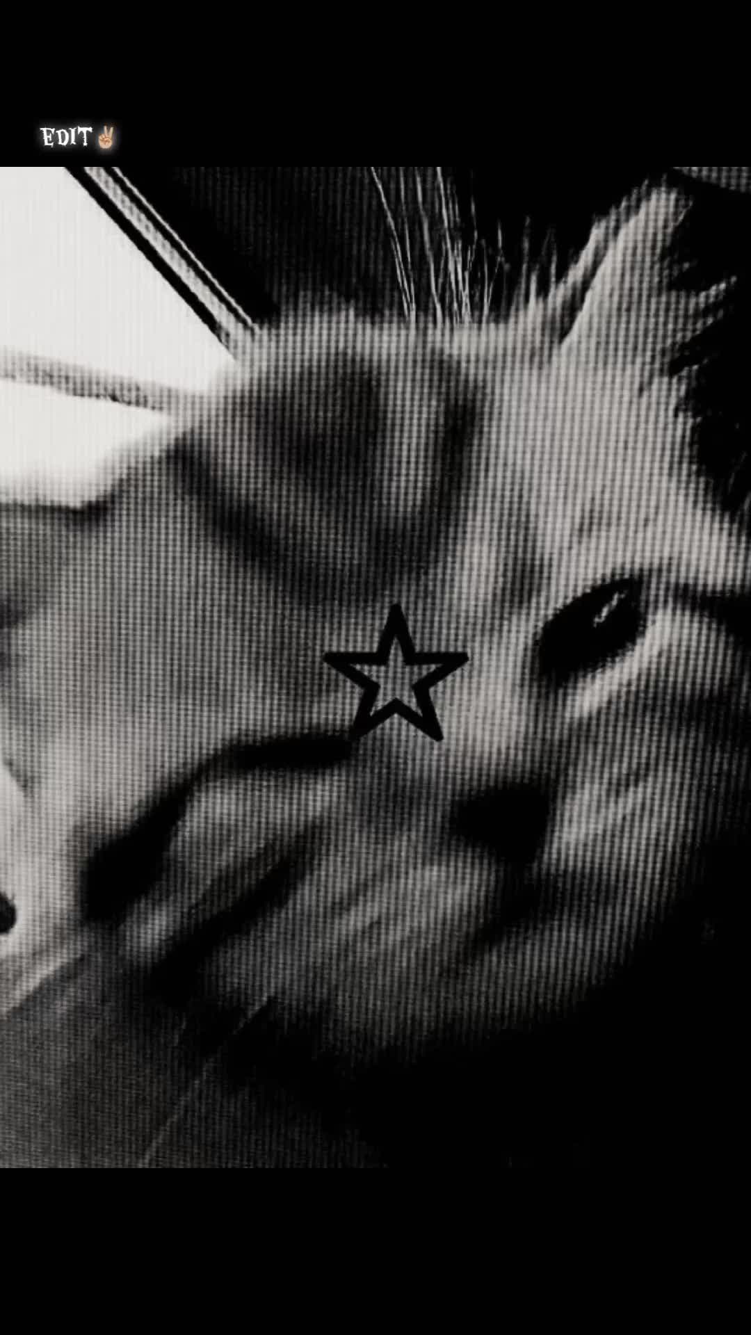 @🎀😽Kicia_401😽🎀