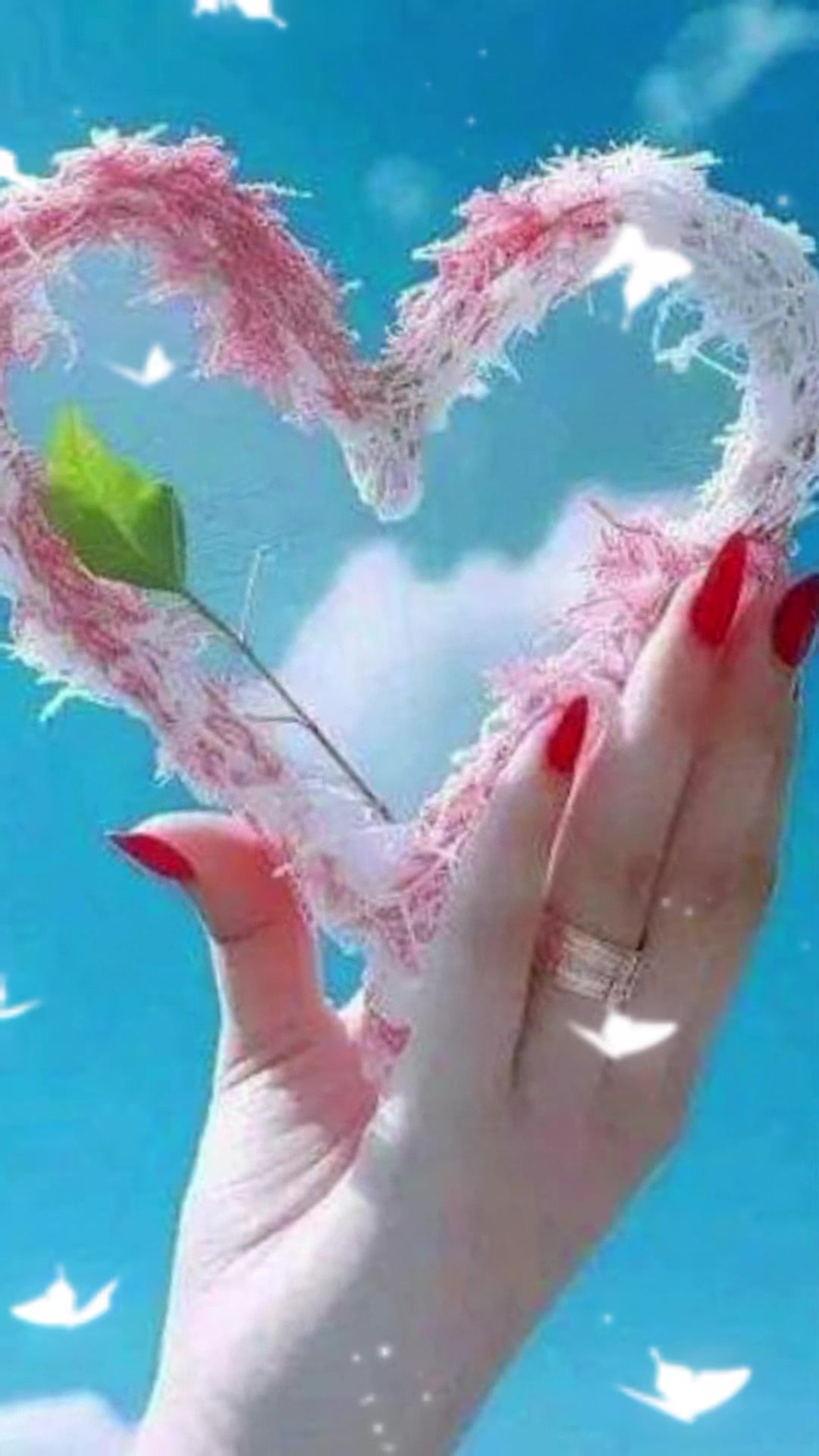 @🦋 Radhika 🦋👰&hearts;️