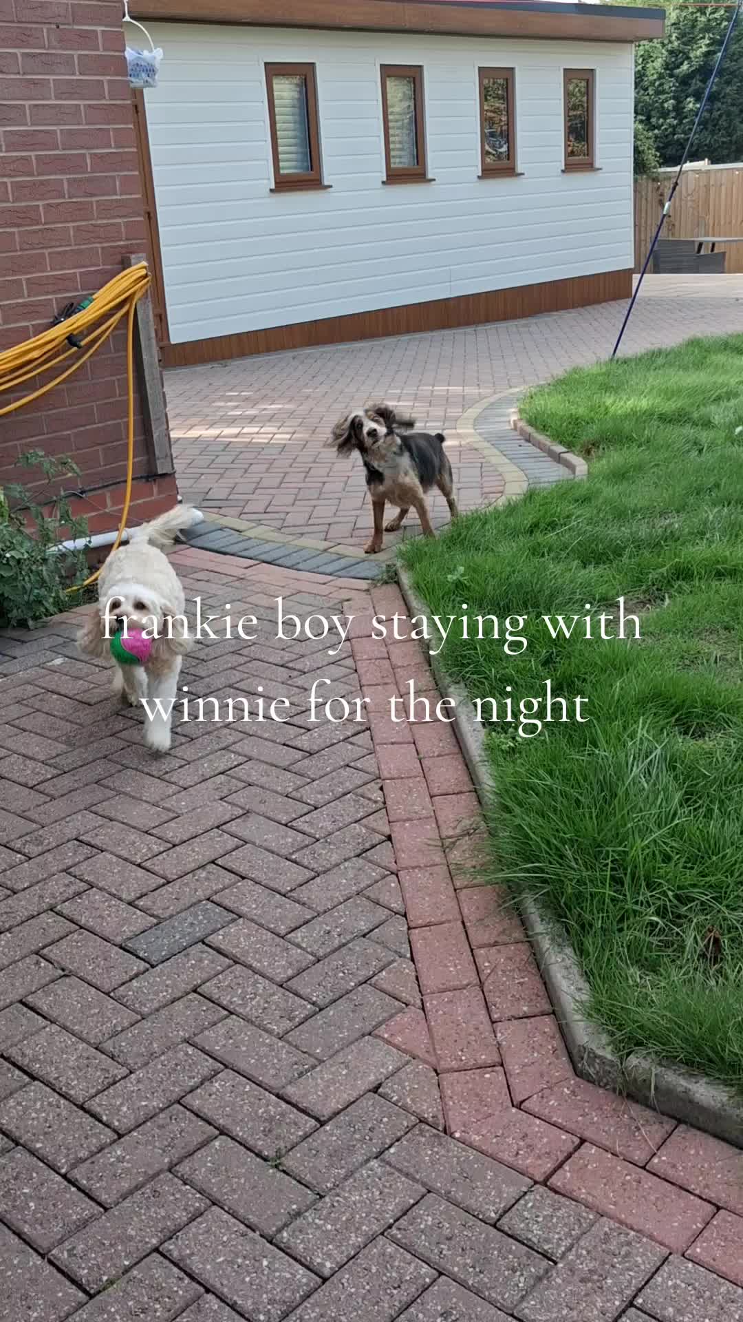 @Donna  Frankie Boy & Dolly