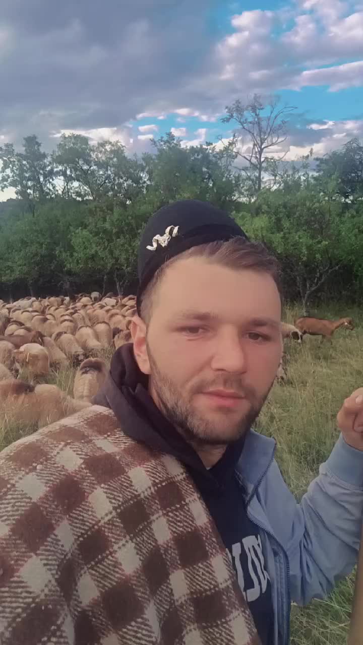 @costy_Turbăceanu