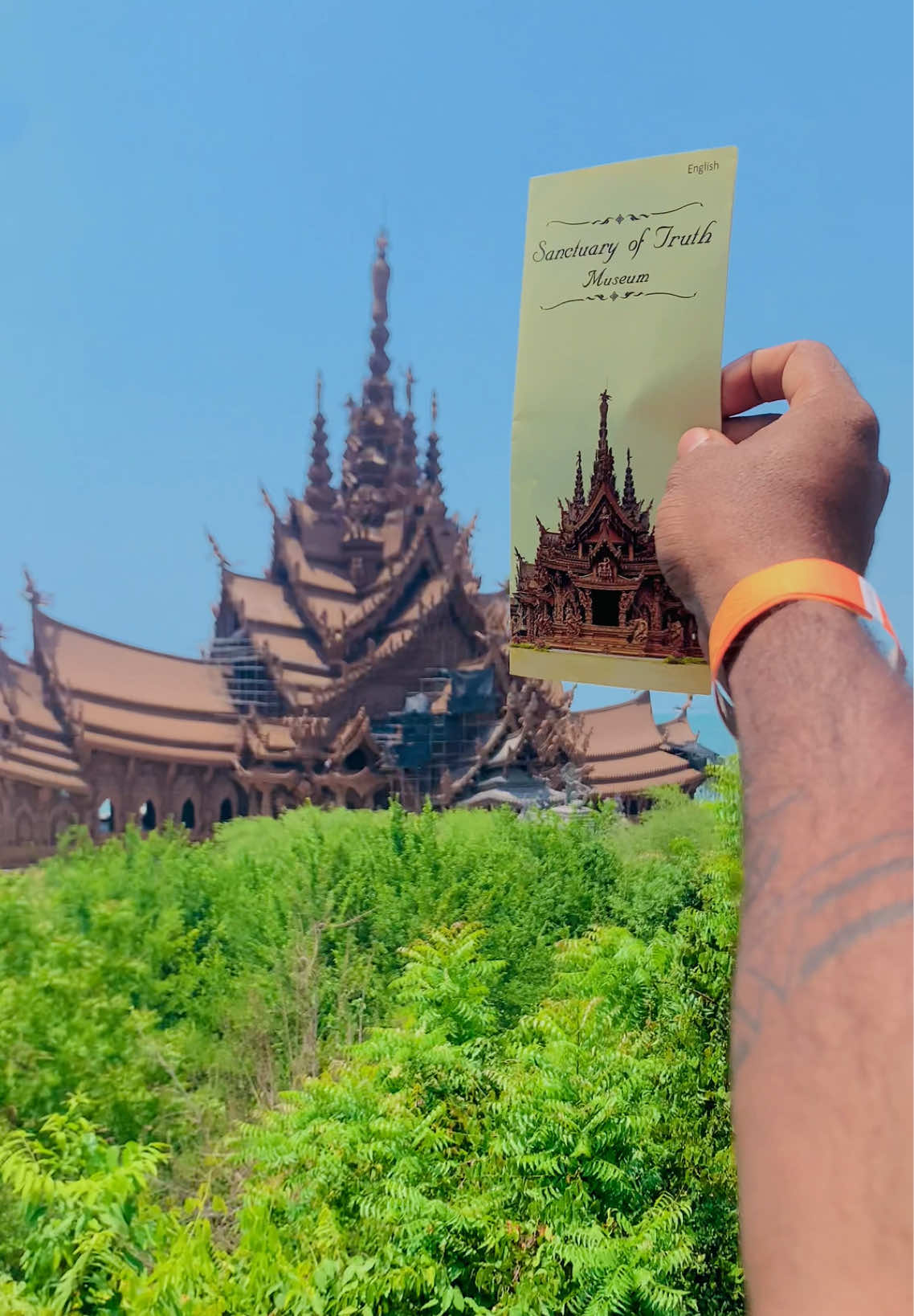 @đ¨đđđđđđđđđđâ¨