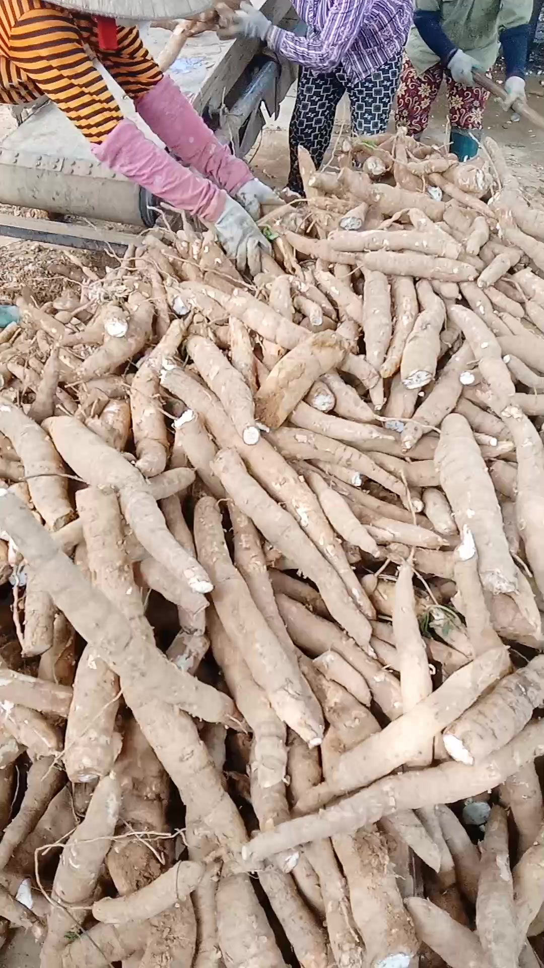 @thương c&ocirc;ng sức khỏe