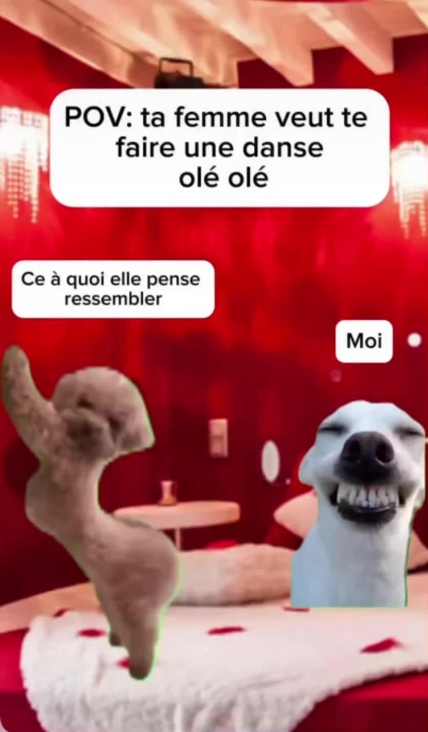 @Moïse_le_sauveur
