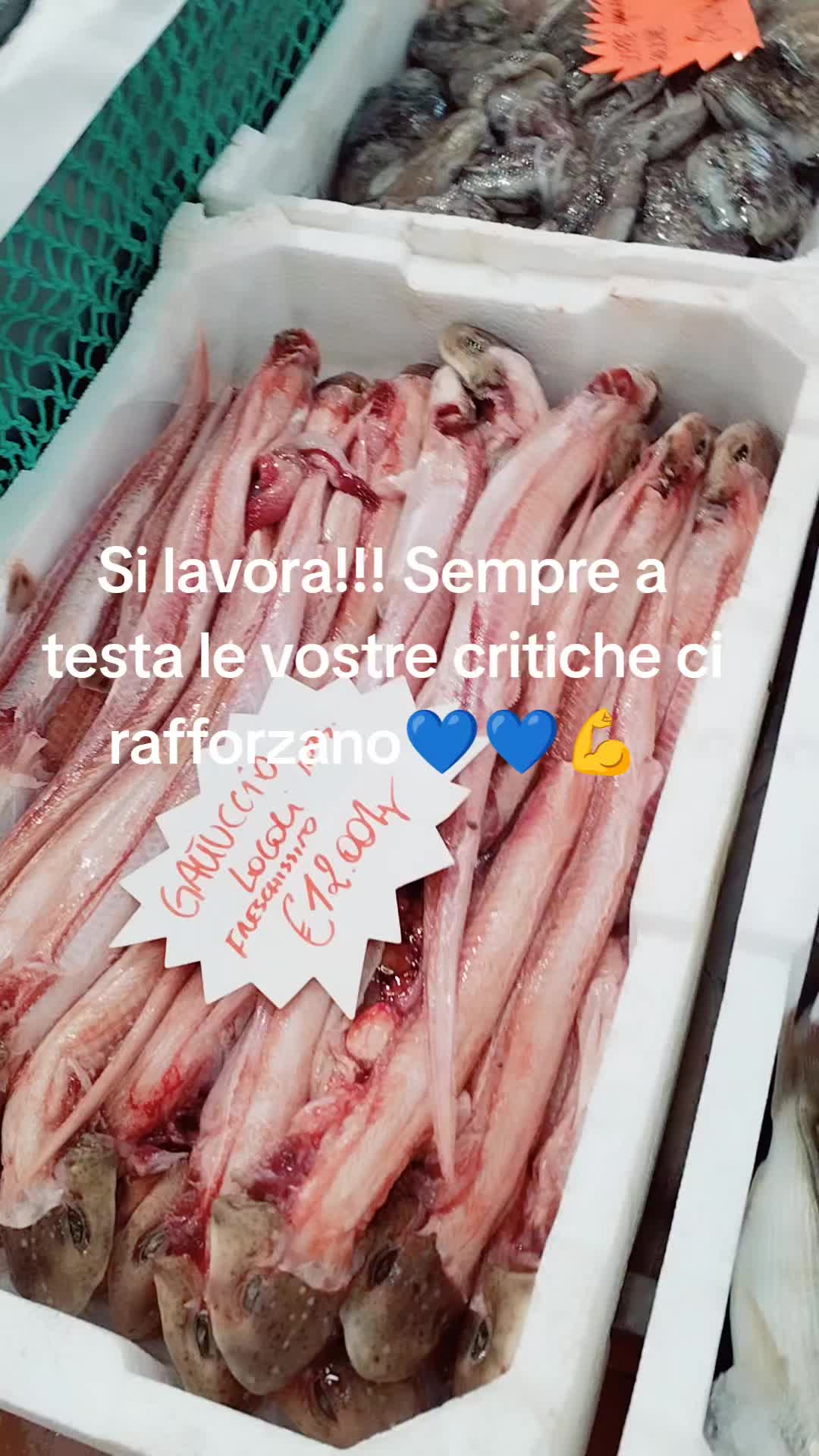 @sbrabipuzz