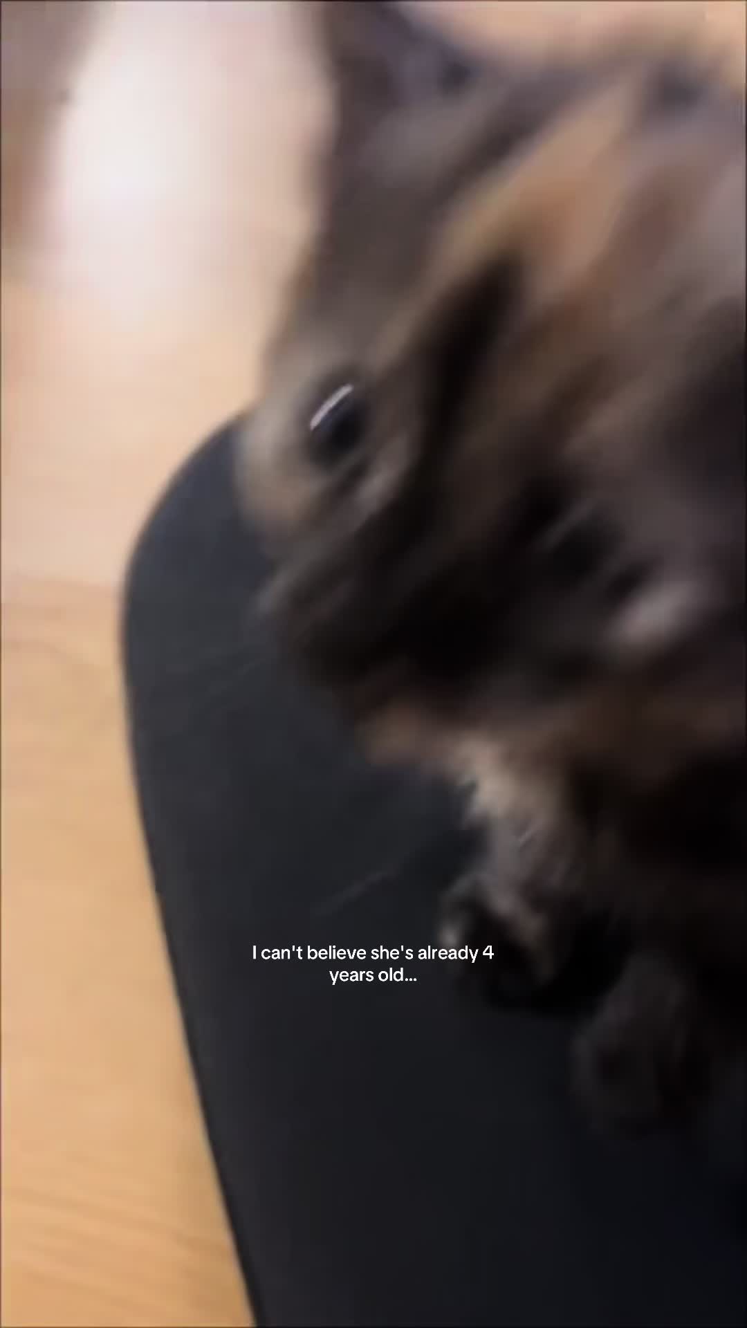 @★ʸᵘⁿᵃ ᵃⁿᵈ ᶠʳⁱᵉⁿᵈˢ★