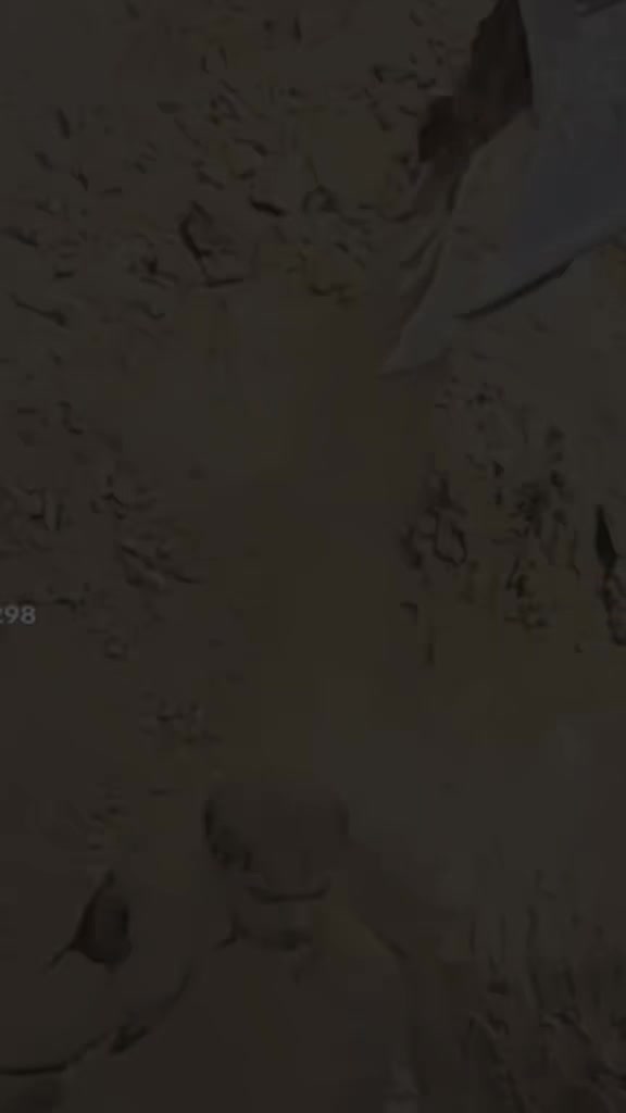 @وجه القمر s محللت أشخاص