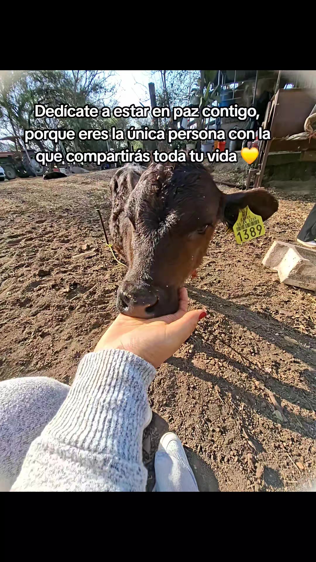 @Karla Eufracio