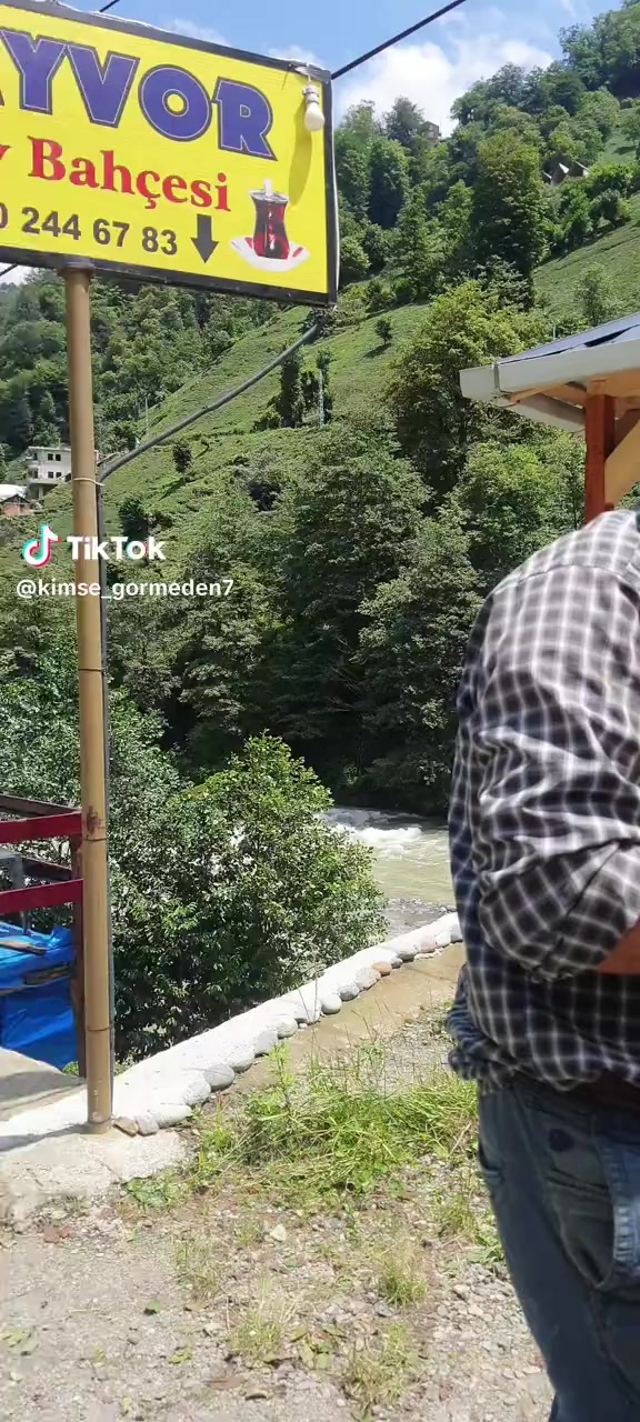 @Limonkolonyası
