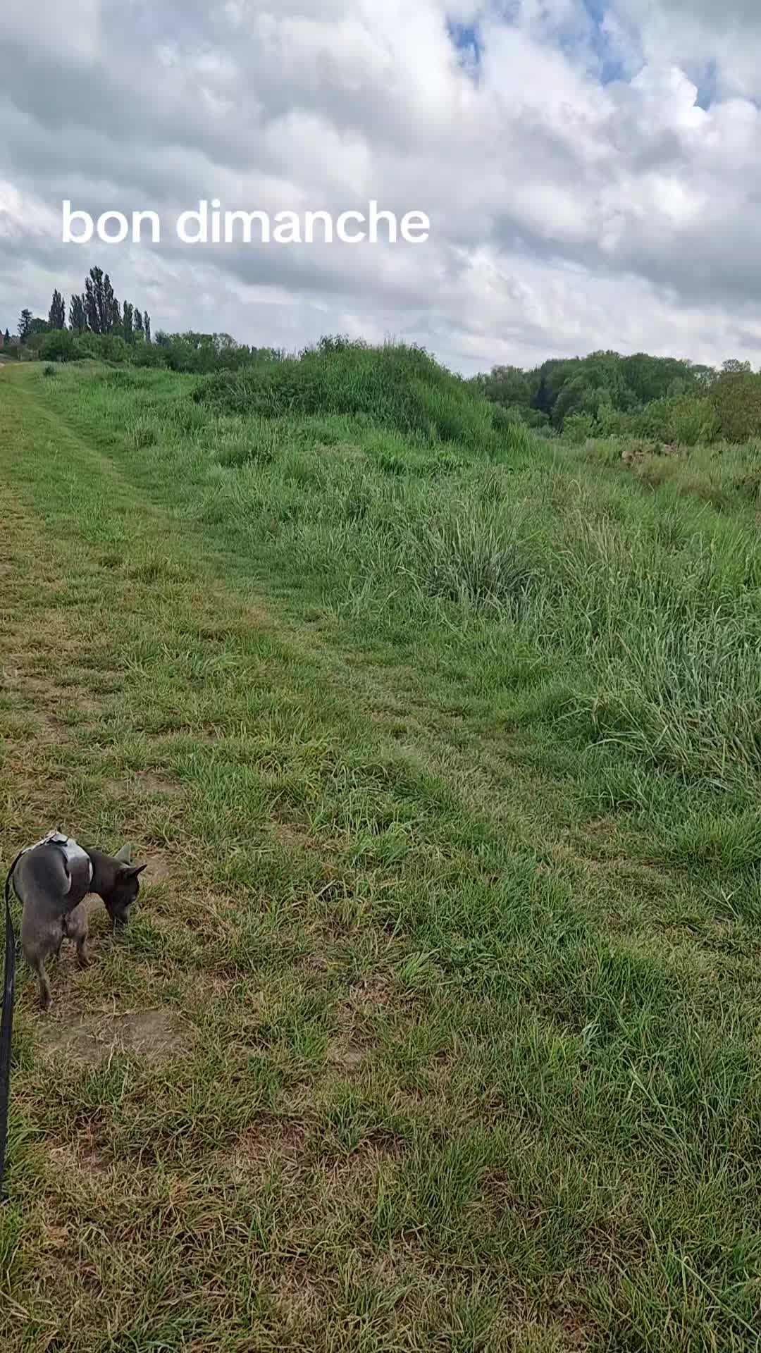 @Stéphy🐕🩷🤍🐶
