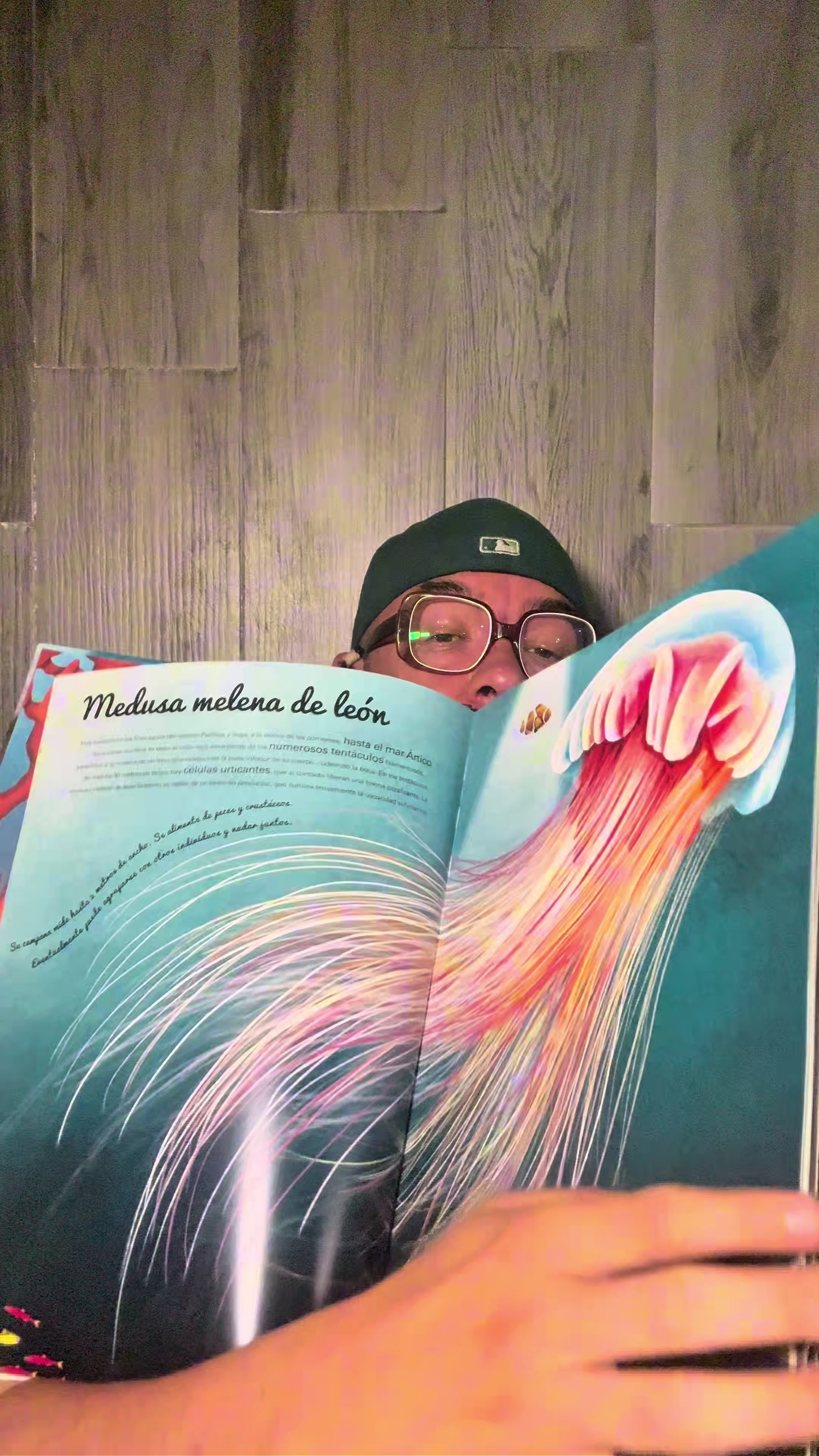 @LIBELULAMX
