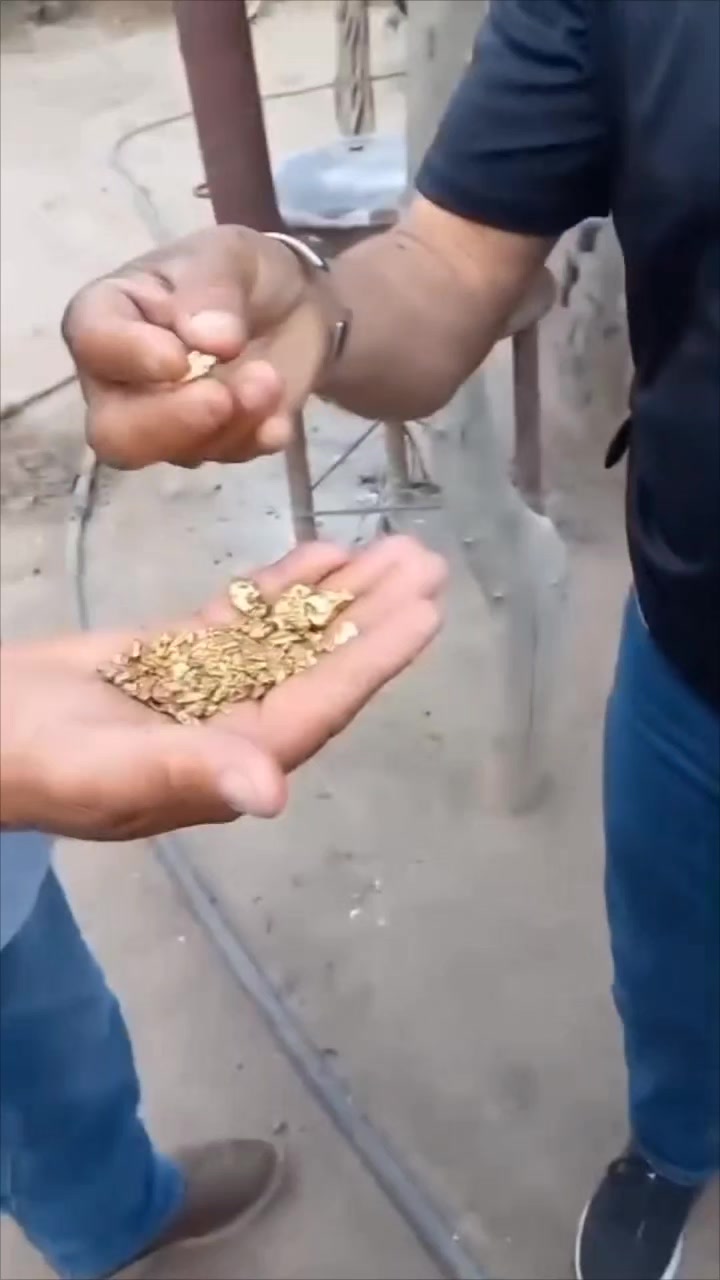 @Gold 22