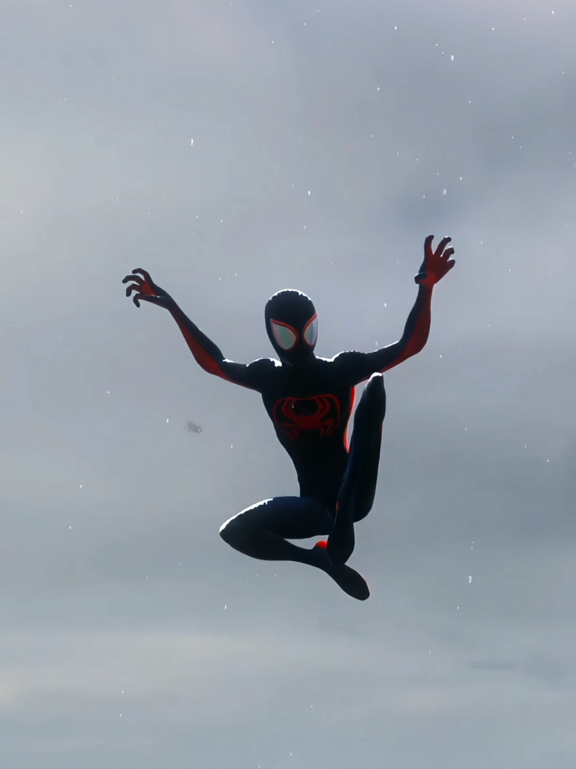 @TheManyAdventuresofSpiderman