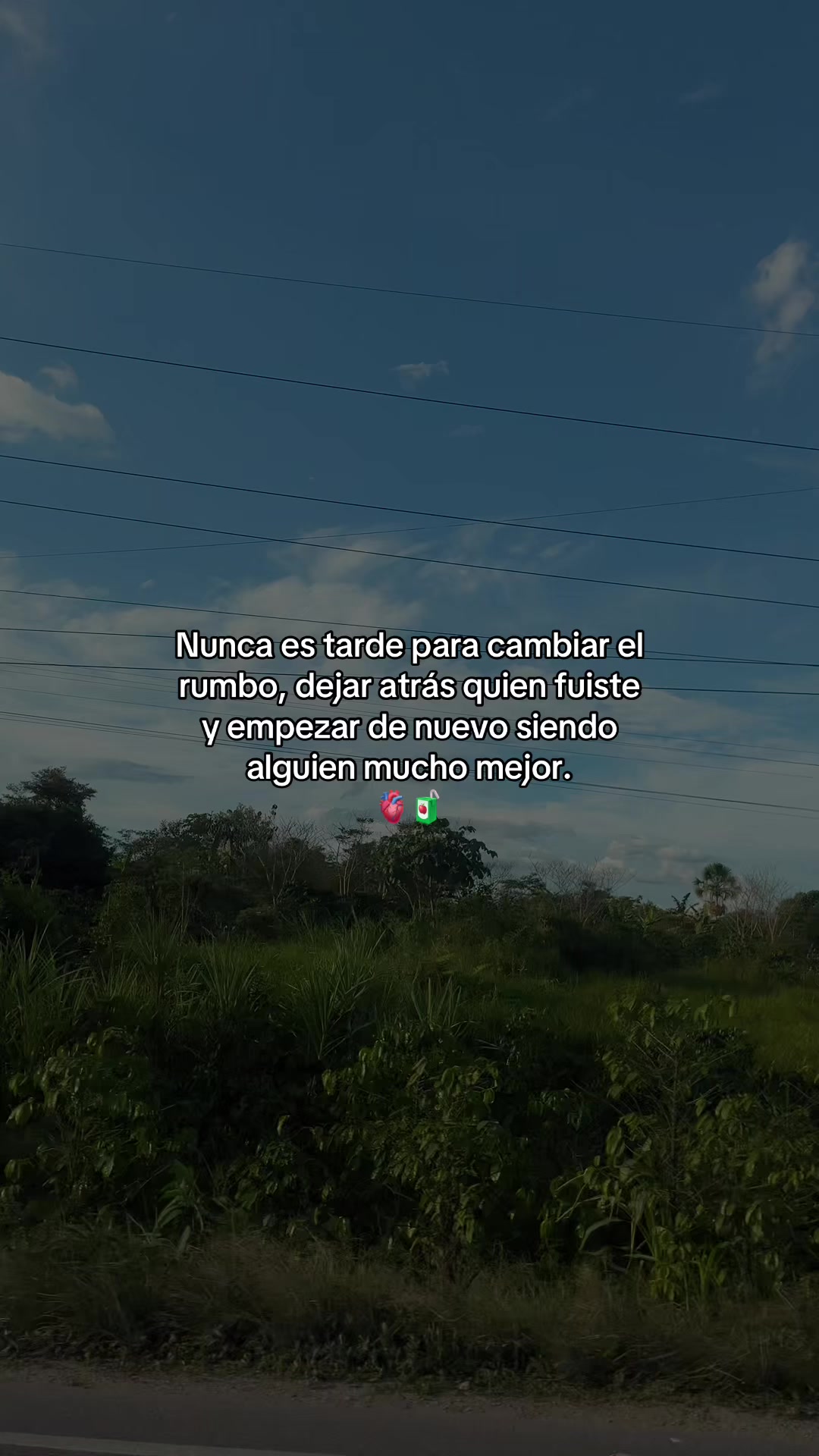 @Gatocix 🐱