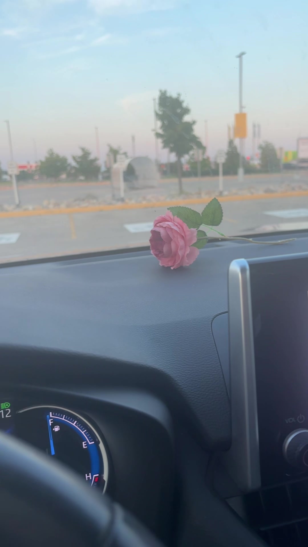 @🦚❤️ਮੋਰਨੀ ਜੱਟੀ❤️🦚🌺🦚