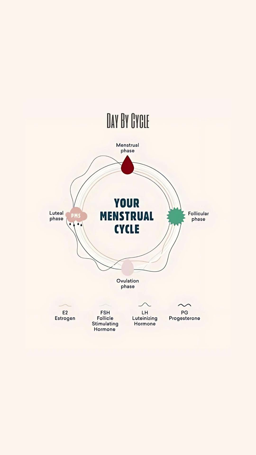 @Vedavitality Organic Ayurvedic