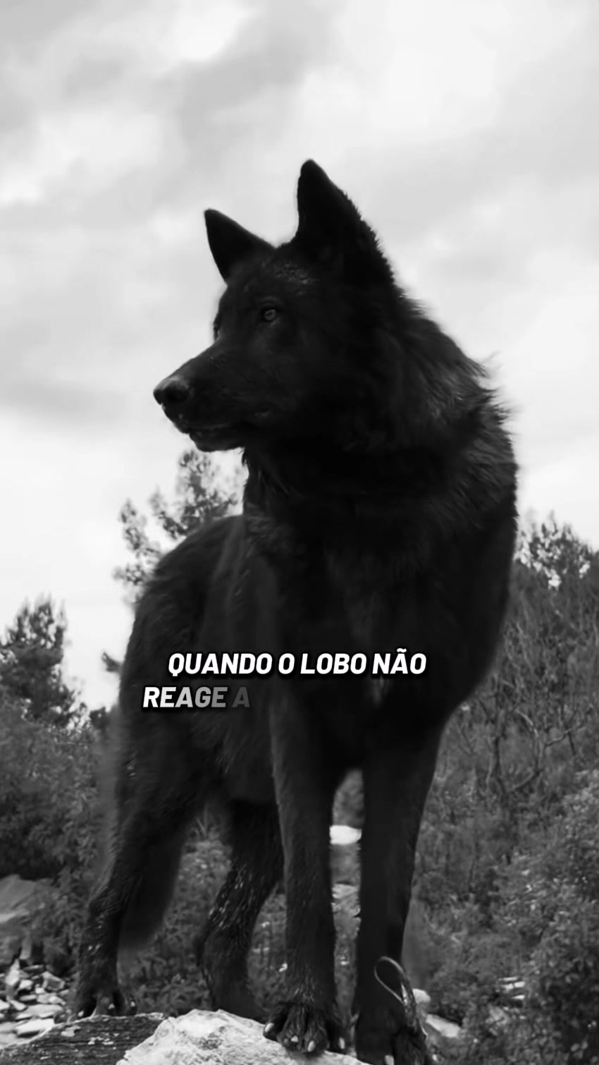 @🐺_&Oslash;Ⱡ&Oslash;฿&Oslash;_🐺