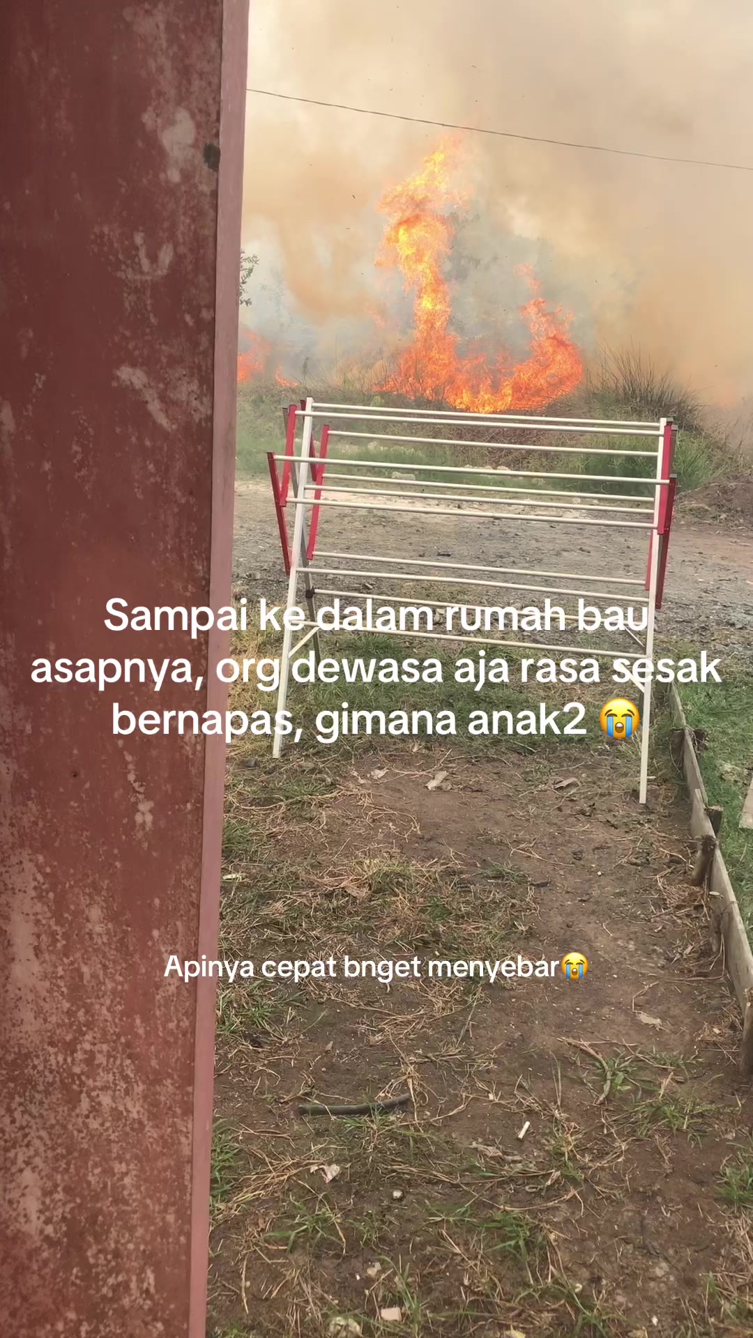 @Nemil Wilmei