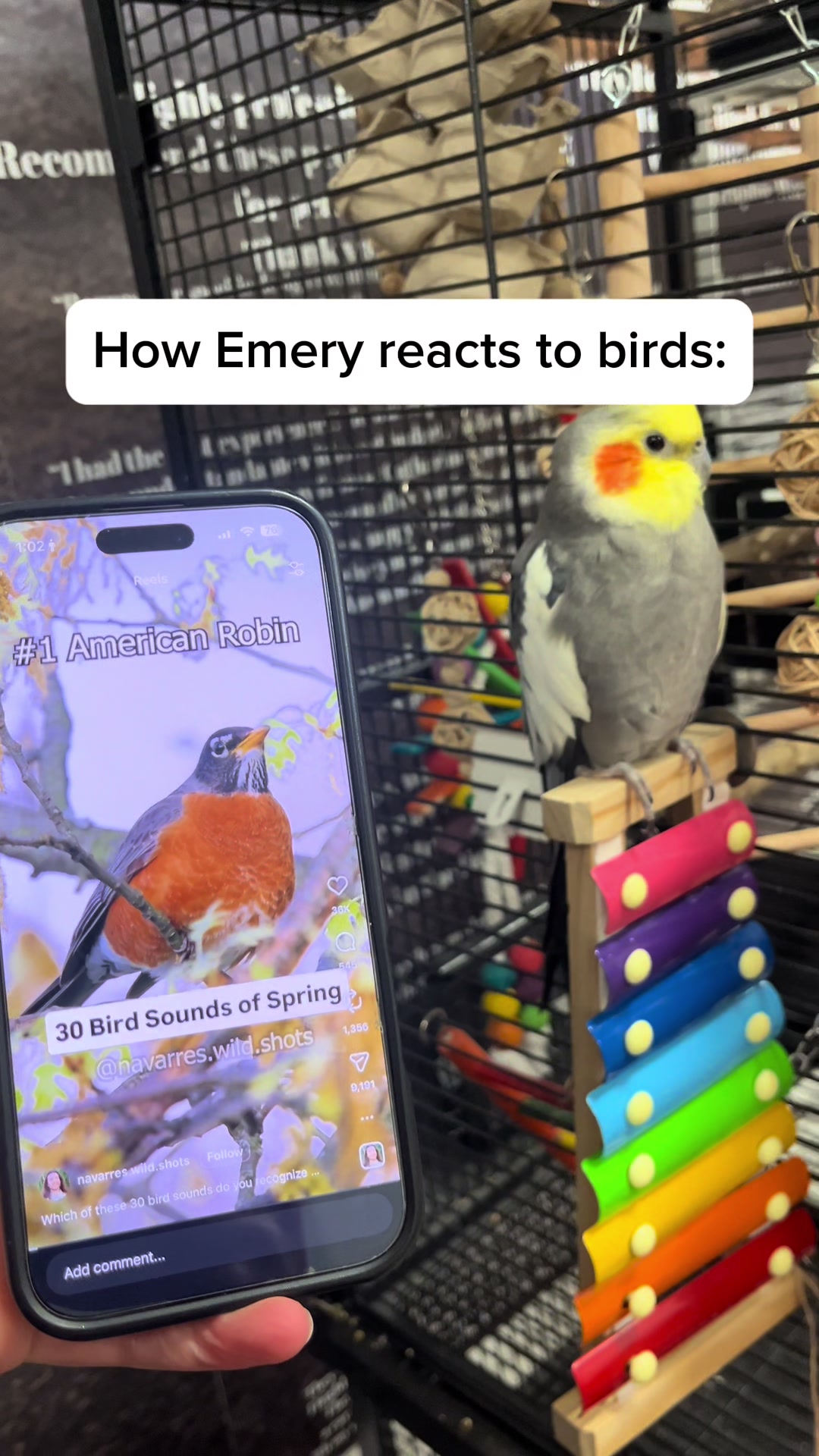 @Emery The Branch Manager