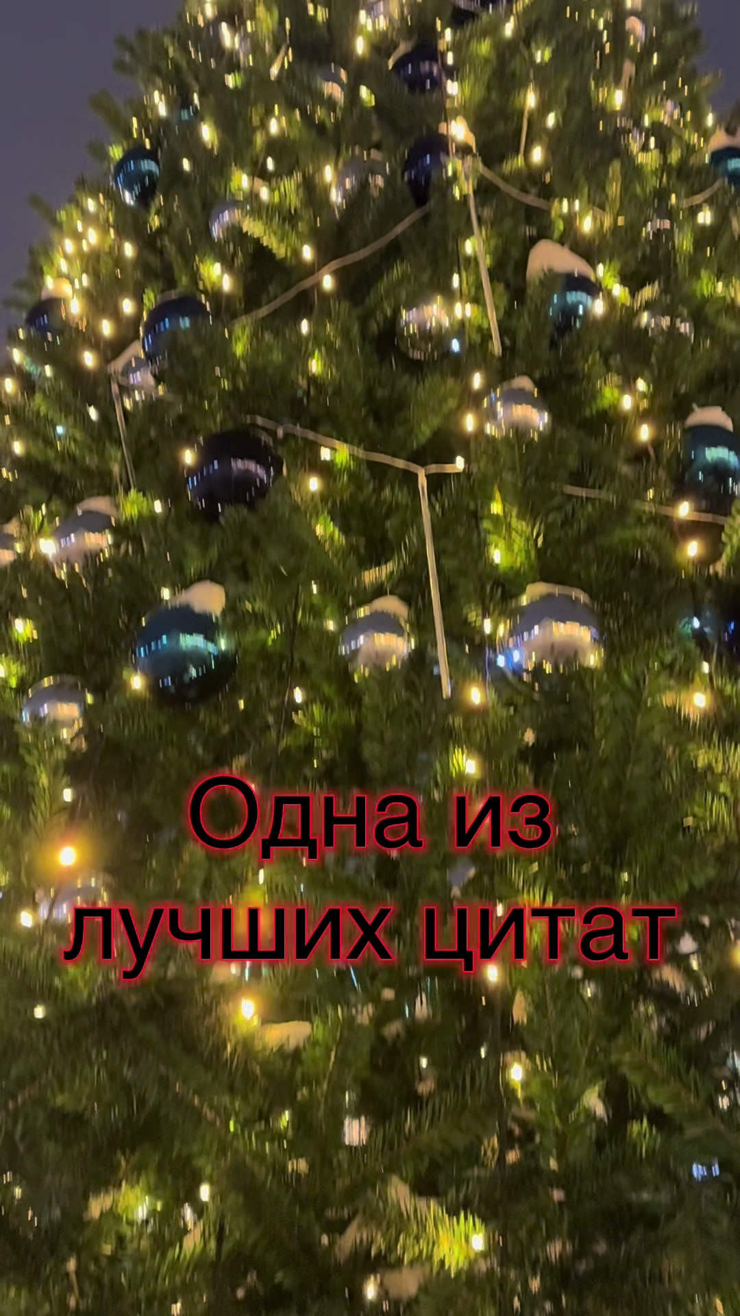 @Надежда Владимировна