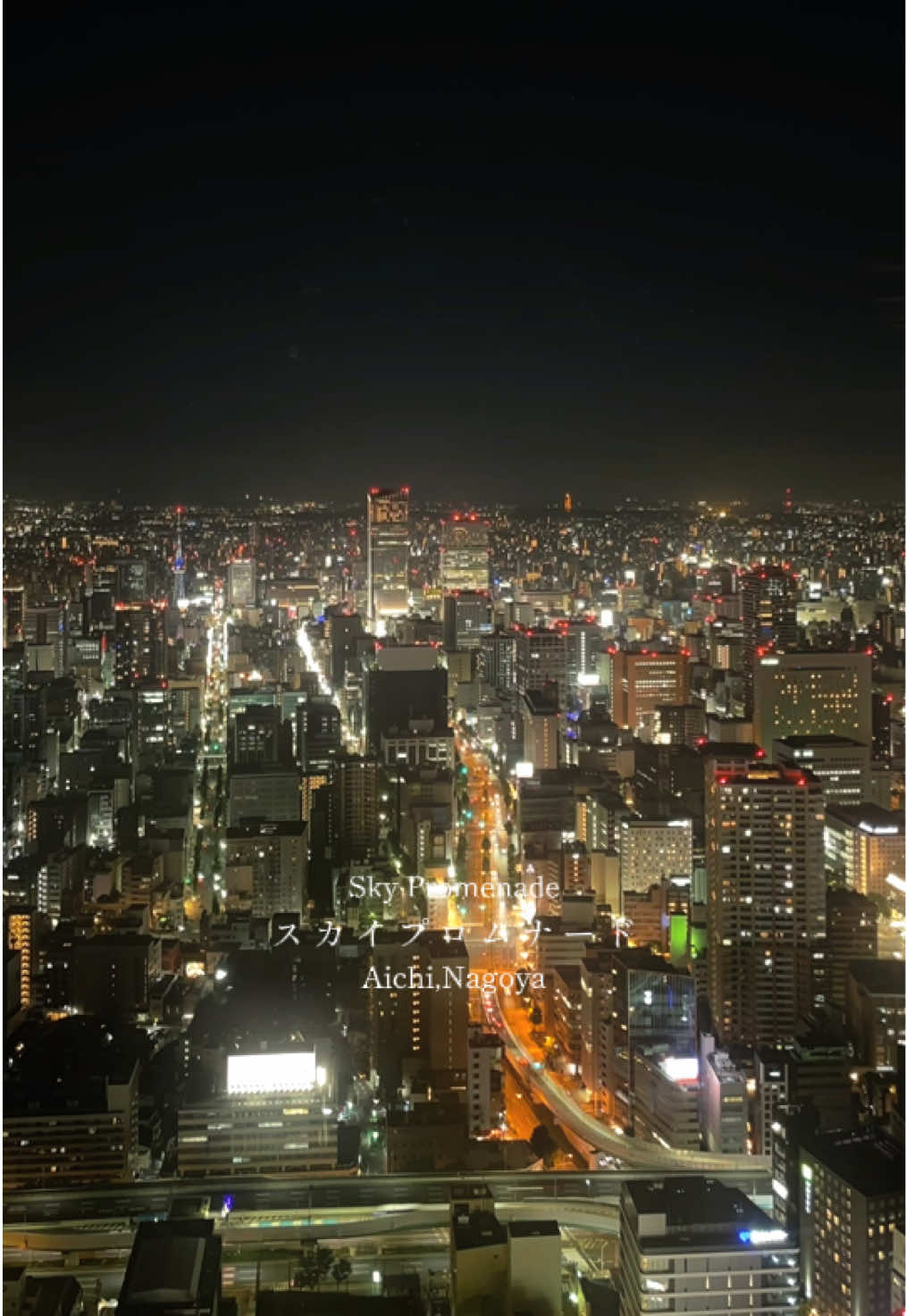 @Aichi_Traveler🎌