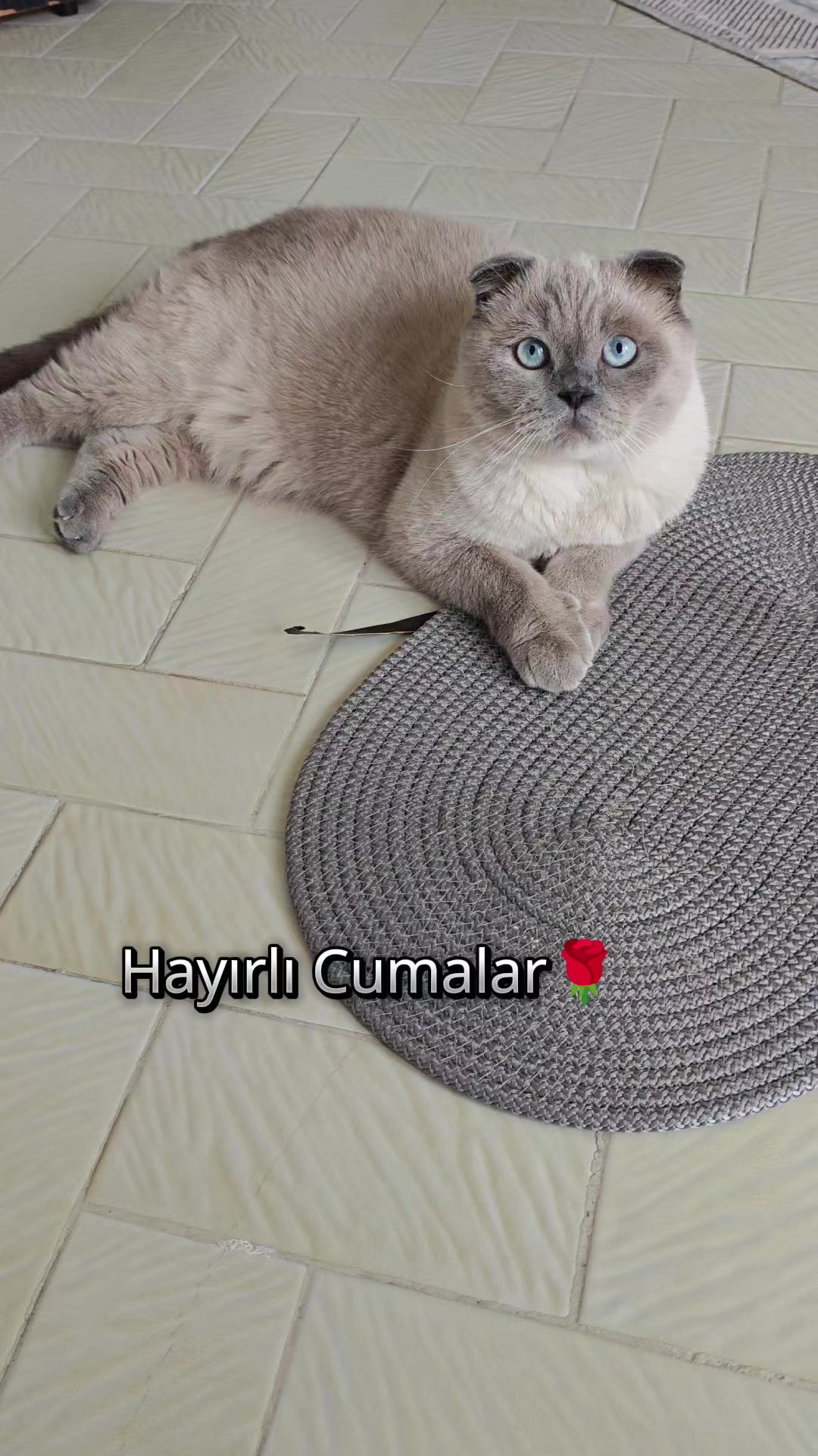 @💙SÜTLAÇ BEY💙