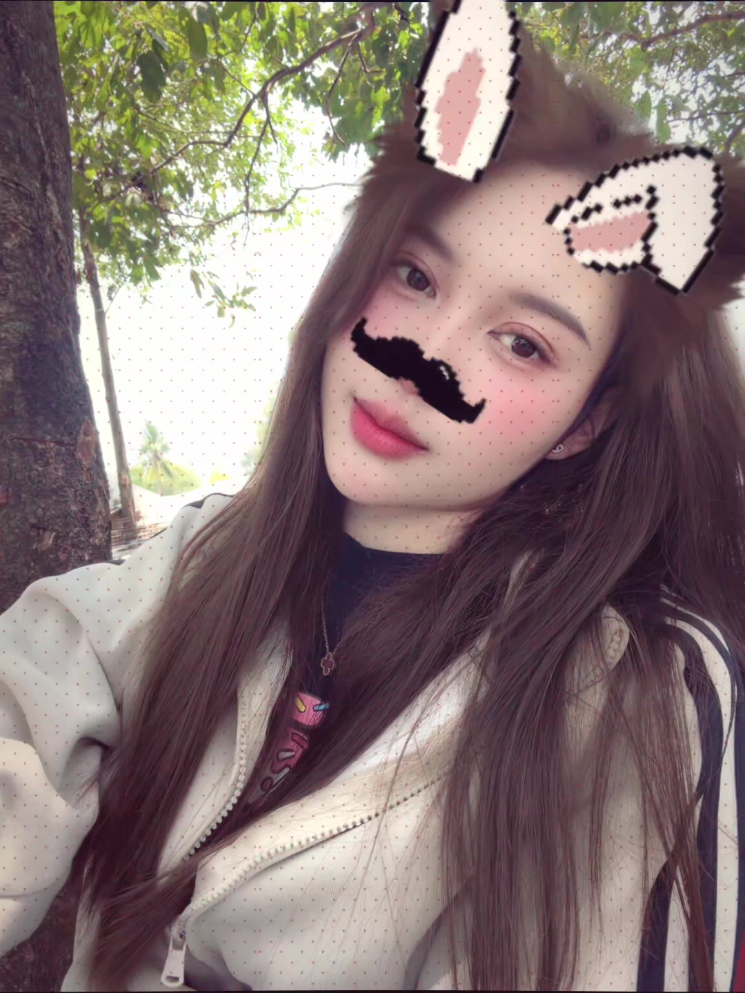 @phet_🌻
