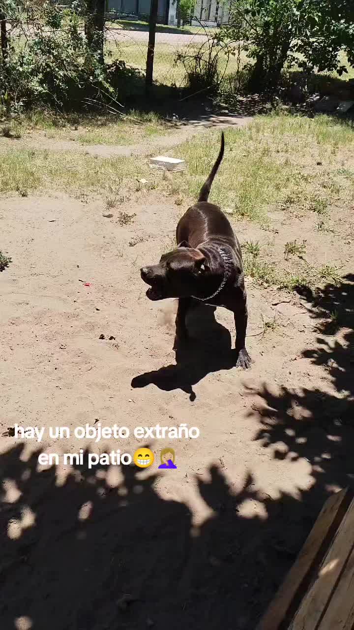 @cami_solbach🧿