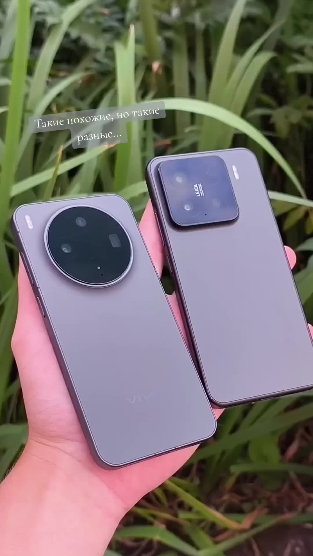 @yyixx88/VivoTeam