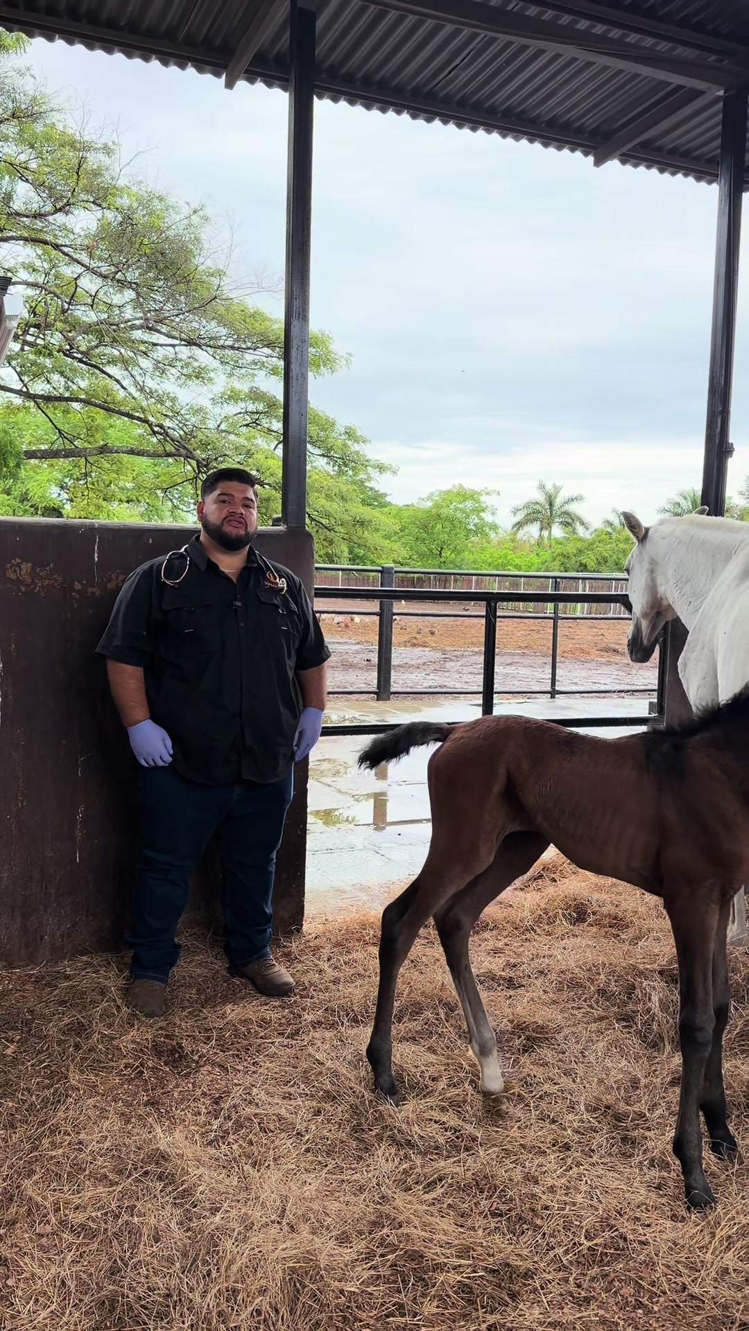 @EQUINOVET NICARAGUA
