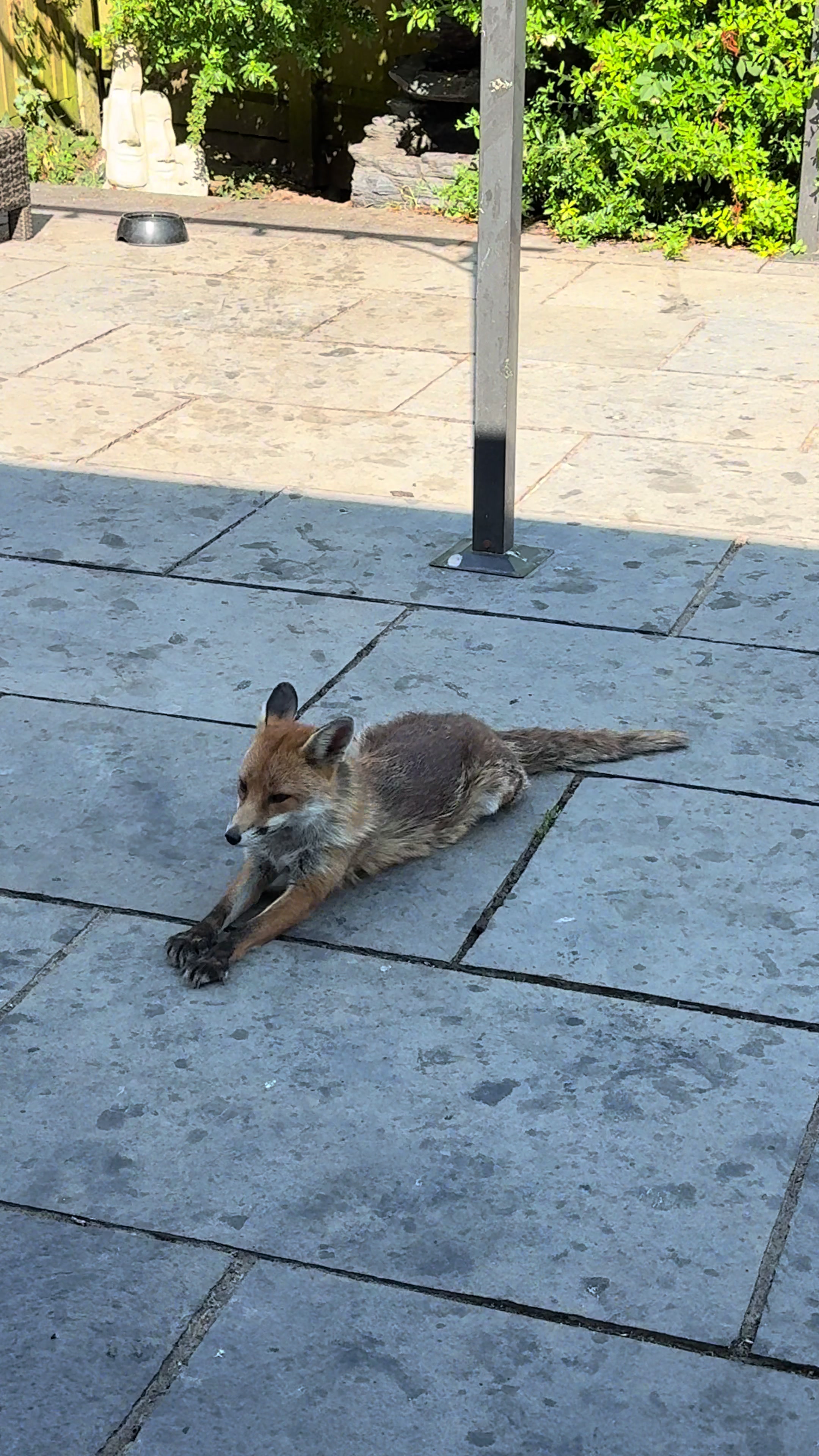 @gp_wildlife