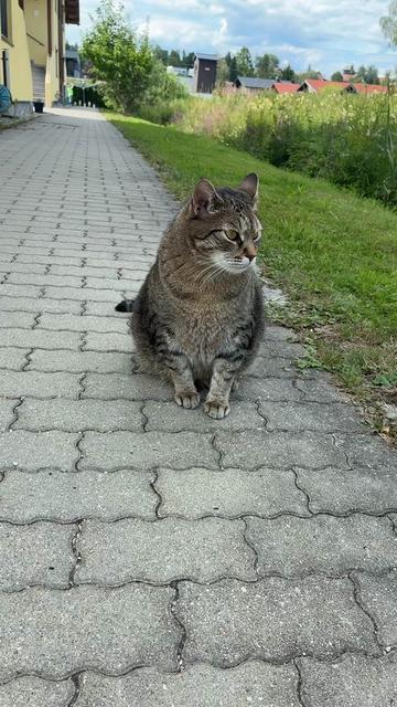 @Birgit Berger ( Biggi )