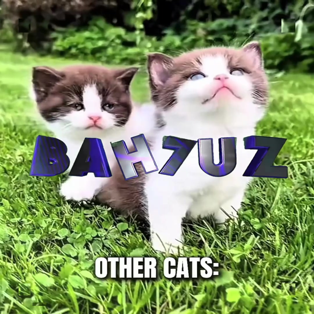 @bah7uz