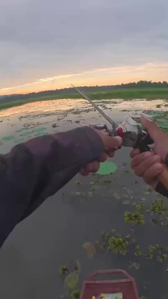 @HAZON TACKLE