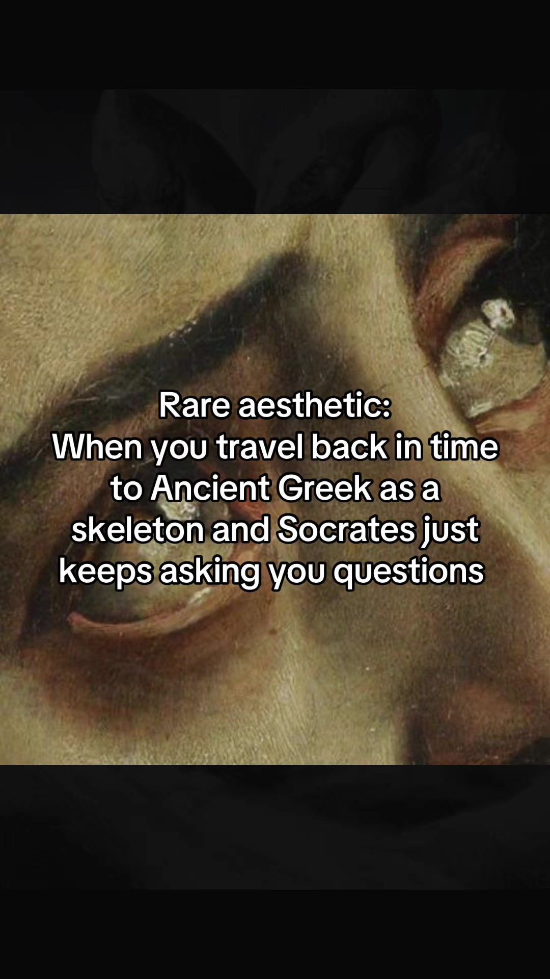 @🐦&zwj;⬛