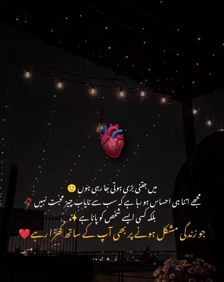 @MrS ArSaLaN♥️