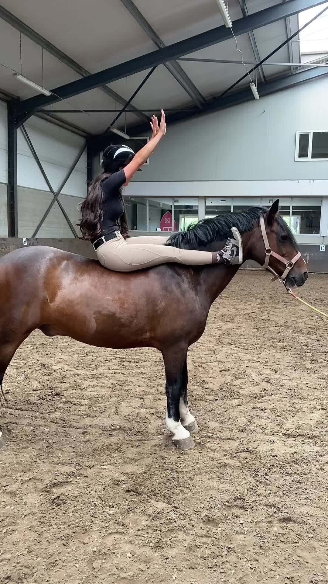 @Hippisch Centrum Dordrecht