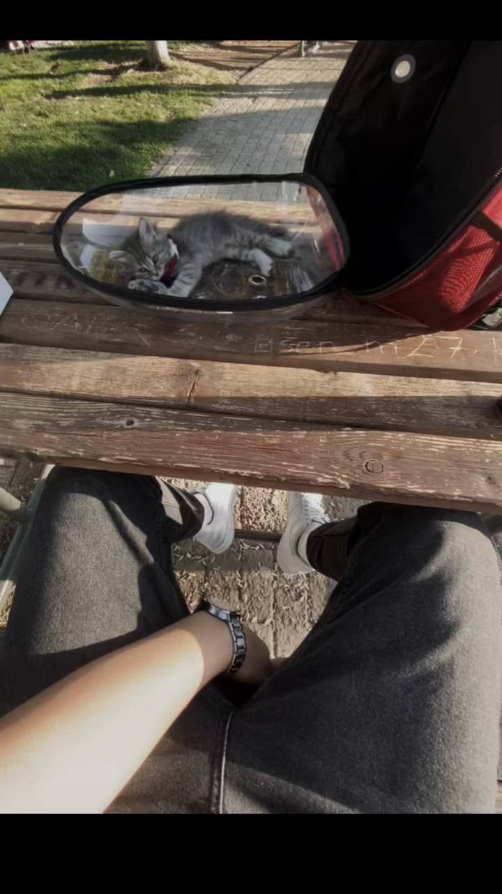 @تاريخ ال حلبي ١.📍🥷🏻 ً