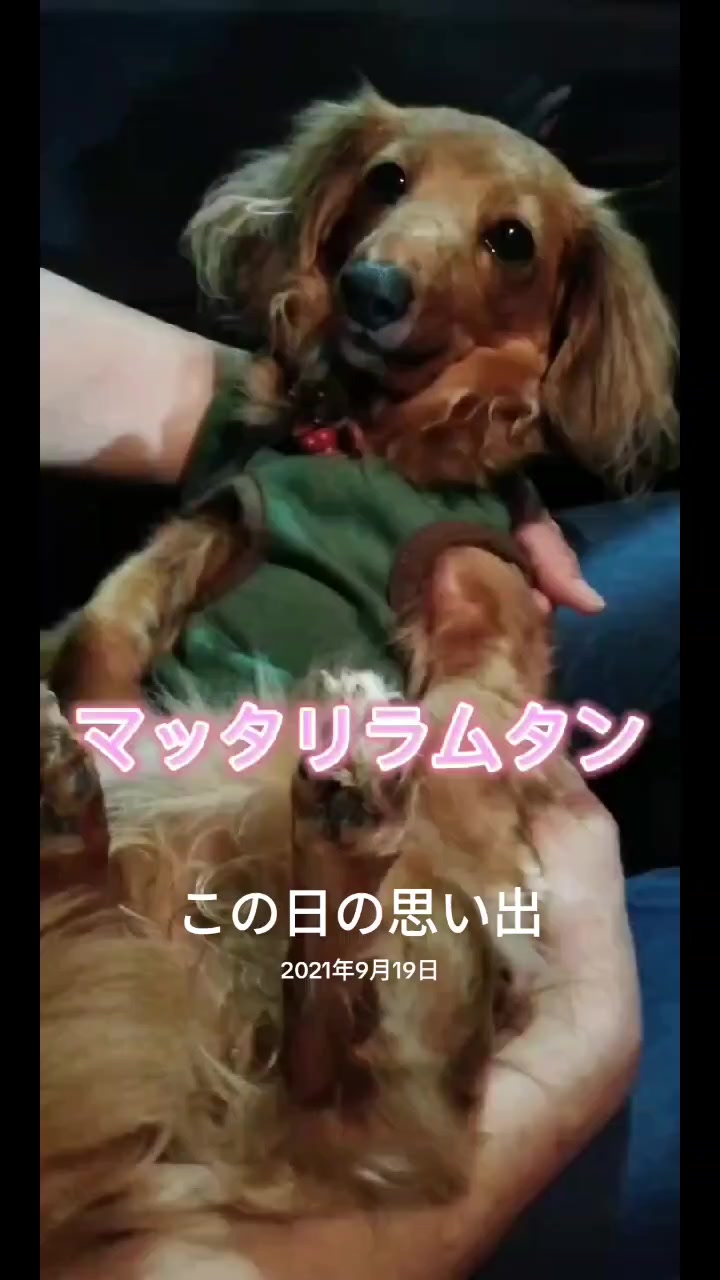 @ラムパパ