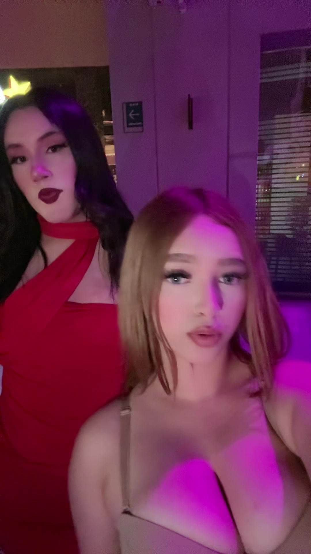 @tcanoooo🦜