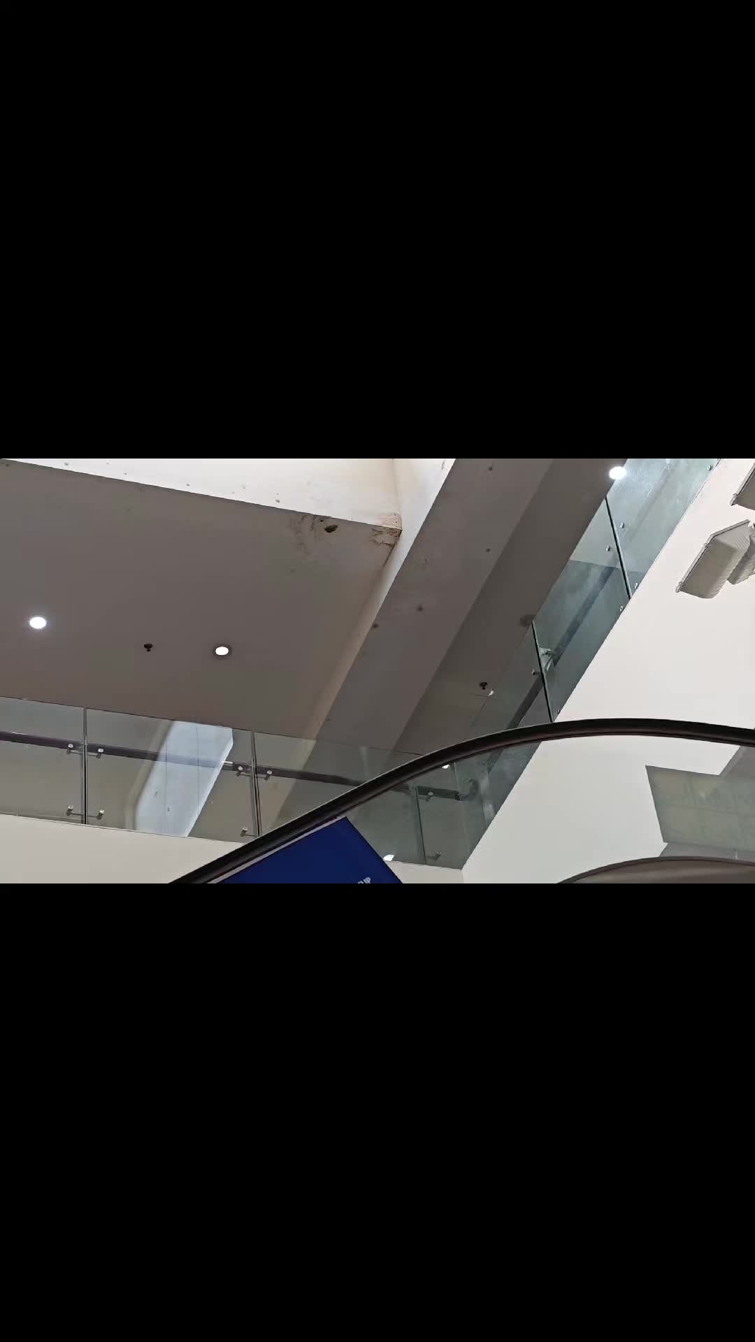 @Ditaeon