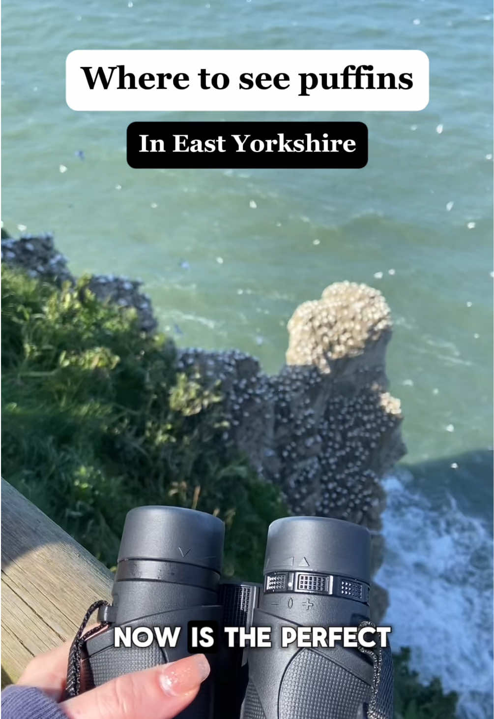 @offthemapyorkshire