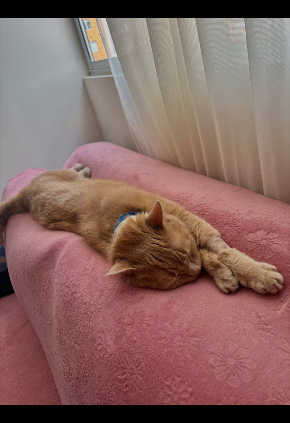 @Sandi