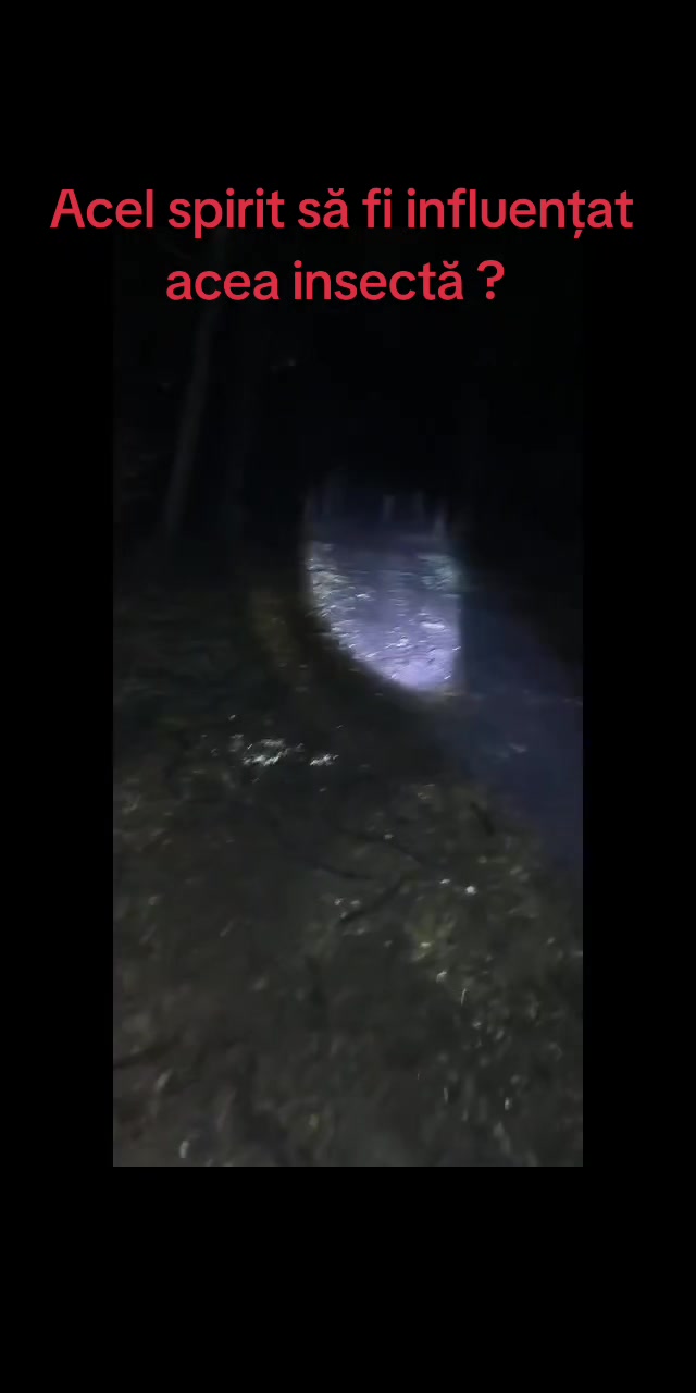 @Paranormal Activity IRL