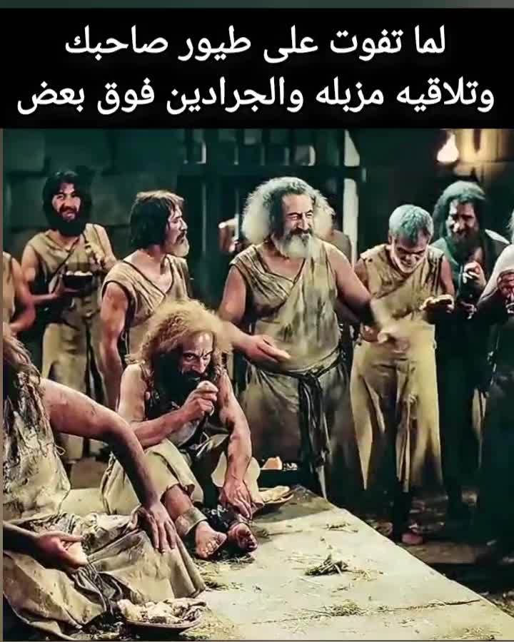 @Pigeons Tv
