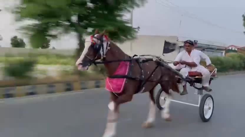 @شینکہ آلہ