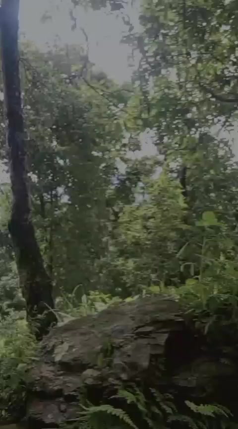 @𝓐𝓪𝓻𝔂𝓷  𝓢𝓱𝓪𝓴𝔂𝓪