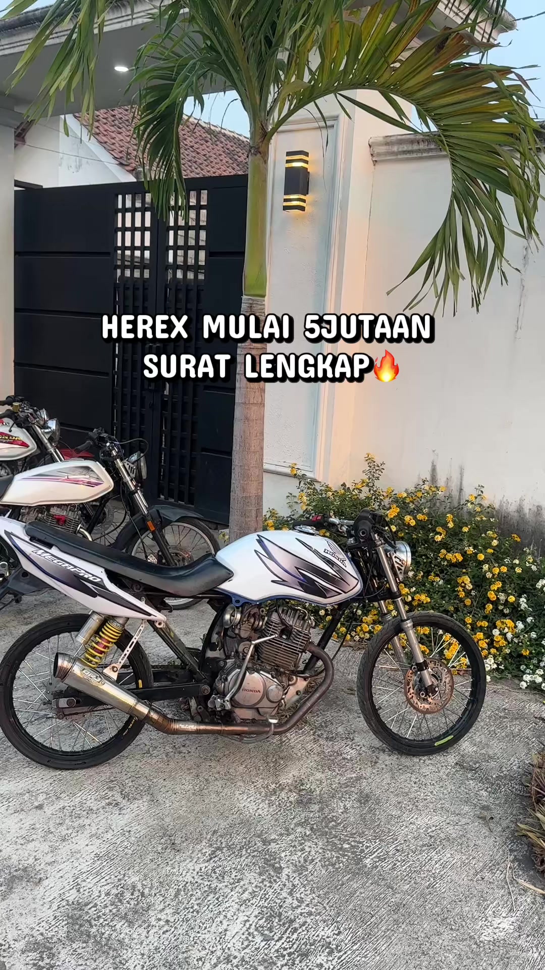 @TUMBAZ_HEREX